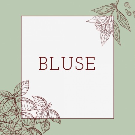 Bluse